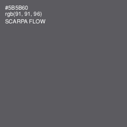 #5B5B60 - Scarpa Flow Color Image